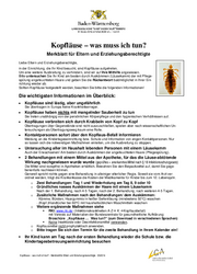 Informationen zum Umgang mit Kopfläusen