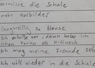 Schülerrückmeldungen nach 2 Wochen Schulschließung